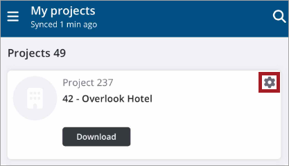 Customize project details