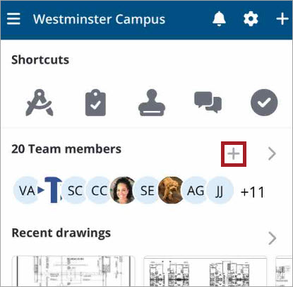 Invite from the team members widget