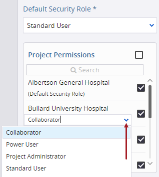 Roles del proyecto