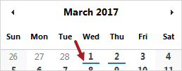 Daily report calendar