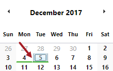 Select date in Daily Report calendar