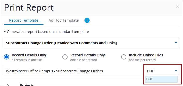 Format du rapport