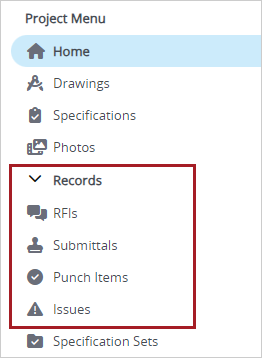 Records section in project menu