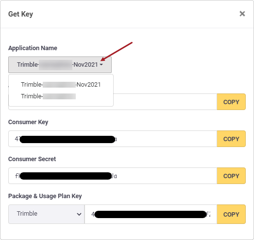 Copiar Consumer key y Consumer secret